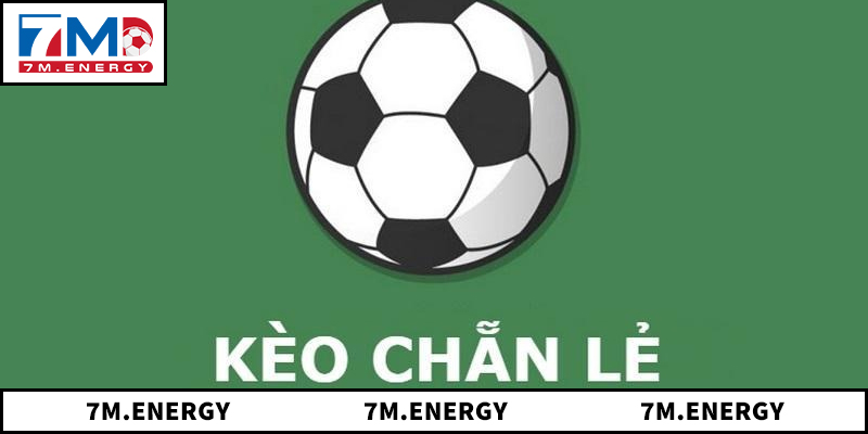 Kèo Chẵn Lẻ Và Những Yếu Tố Quan Trọng Tác Động Tới 1 Kèo chẵn lẻ