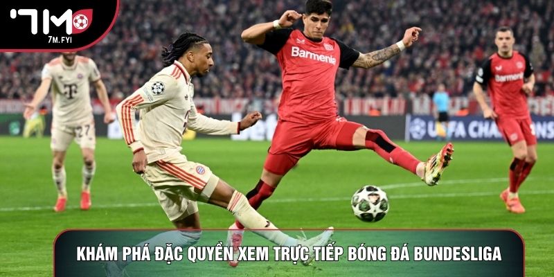 Trực Tiếp Bóng Đá Bundesliga - Bùng Nổ Cùng Giải Đức 1 Khám phá đặc quyền xem trực tiếp bóng đá Bundesliga